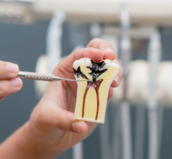Endodontics